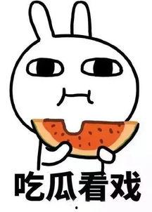 娱乐吃瓜酱算什么行业